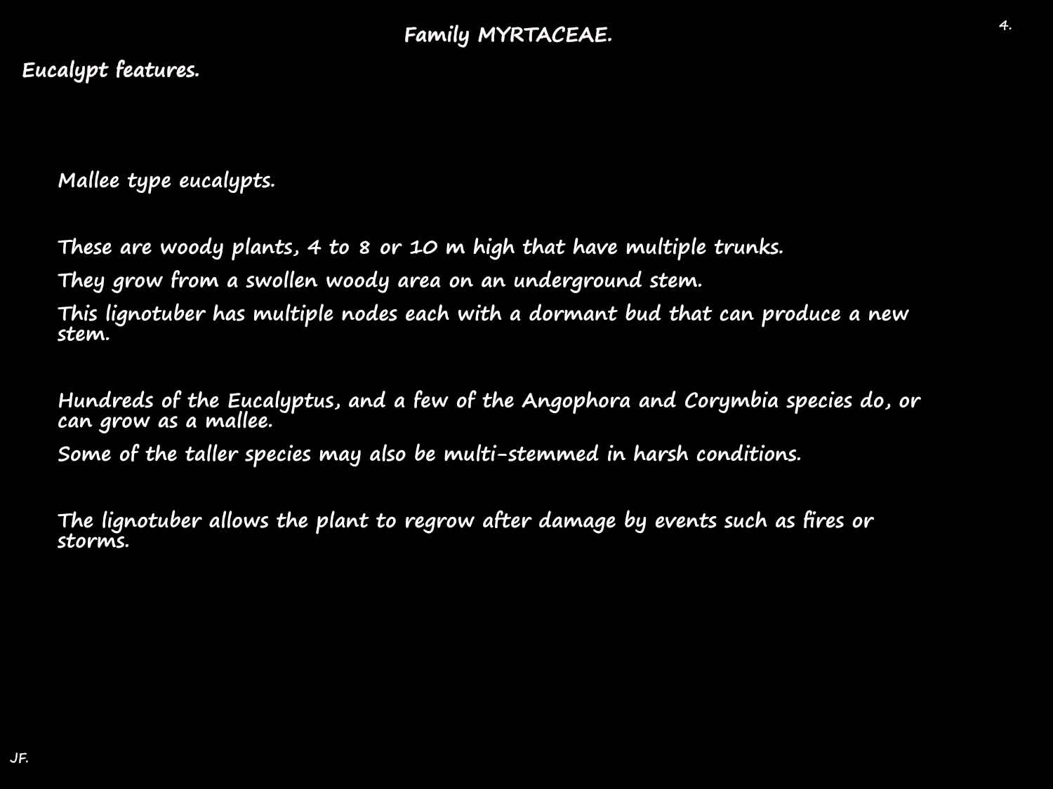 2b Mallee type eucalypts