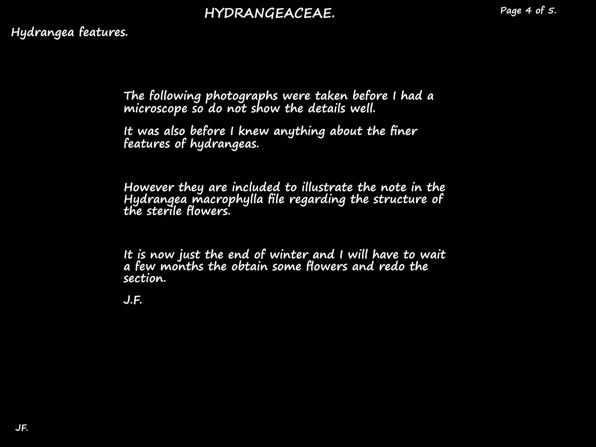 4 Hydrangea image note